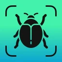 Reconnaitre Les Insectes icon
