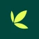 Bamboo: Invest. Trade. Earn. icon