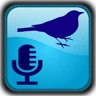 BirdUp - Identifier oiseaux icon