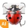 Insektsidentifierare icon