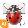 Insektsidentifierare icon