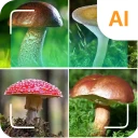 버섯 식별기 icon
