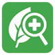 Pflanzenkrankheit icon