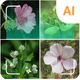 Pflanzenidentifizierer icon