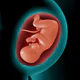 Astha Pregnancy & Parenting icon