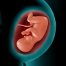 Astha Pregnancy & Parenting icon