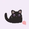 카톡 테마 - Black Cat 흑당이 icon