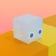 Aqua Form icon