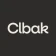 클박 Clbak - AI 패션 바이브 진단 & 코디 icon