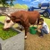 animal farm sim farming spil icon