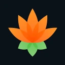 Lotus Chess – Coach icon