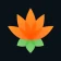 Lotus Chess – Coach icon