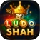 Ludo Shah - Dice Board Game icon