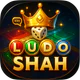Ludo Shah - Dice Board Game icon