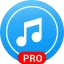 音楽プレーヤー - 有料版 icon