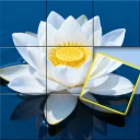 Jigmatch - Solitaire Puzzle icon