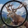 Hunting Battle: Jeu Chasse icon