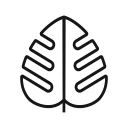 Monstera - Guide de plantes icon