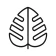 Monstera - Guide de plantes icon