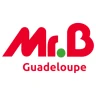 Mr. Bricolage Guadeloupe icon