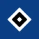 Hamburger SV icon