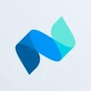Netvisor icon