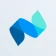 Netvisor icon