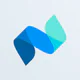 Netvisor icon