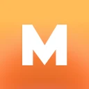 MINI RECORD icon