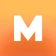 MINI RECORD icon