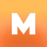 MINI RECORD icon