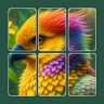 Jigsaw Solitaire: Slide Puzzle icon