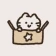 우주고양이 보라 - 사주, 운세, 사주풀이, 타로 icon