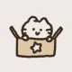 우주고양이 보라 - 사주, 운세, 사주풀이, 타로 icon