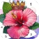 Calm Zen Color Malspiele icon
