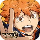 하이큐!! FLY HIGH icon