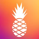 Hawaiian Bros icon