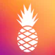 Hawaiian Bros icon