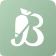 Bakely Wedding Cake Decorating icon