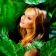Beaux cadres photo icon