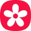 Gallery icon