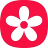 Gallery icon