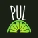 Pick Up Limes icon