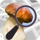 Pilzator - Pilze Erkennung icon