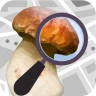 Pilzator - Pilze Erkennung icon