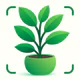 Plantes Reconnaissance et Soin icon