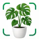 AI Pflanzen Erkennen & Blumen icon