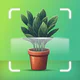 Scanner identifiant plante icon