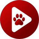 Bear Player icon