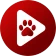 Bear Player icon